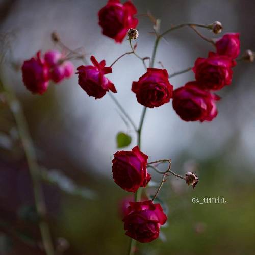 زندگی بدون احساس خوب تکرار شب تکرارِ روز